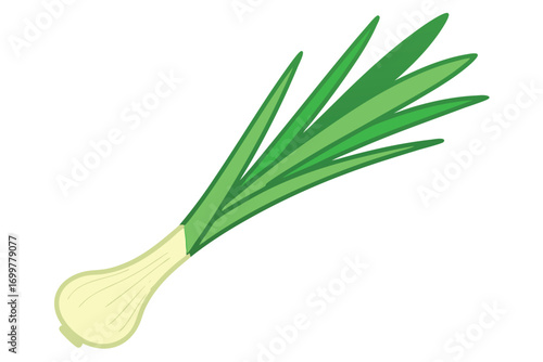 Scallion Vegetable Illustration Isolated on White Background Keywords: scallion, green onion, leek