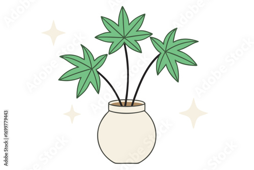 Small potted plant with starbursts in a light beige vase houseplant green leaves