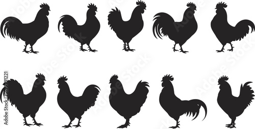 Rooster silhouette set, farm bird illustrations, black chicken icons, poultry animal vector, rooster collection, rural livestock, bird shapes