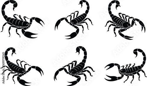 Scorpion silhouettes collection, black vector icons, desert arachnids, poisonous insects, animal claws, pincers, tails, dangerous creatures, nature wildlife illustration