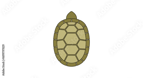 Minimalistic turtle shell illustration with hexagon patterns, perfect for graphic design and educational resources