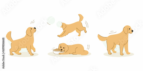 Cute cartoon golden retriever dog in various playful poses and activities on white background