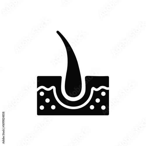 Hair follicle icon. Simple glyph style. Dermatology, nourish, science, spa, medical, beauty, medicine, skin, growth, health element concept. Silhouette, solid symbol. Isolated design.