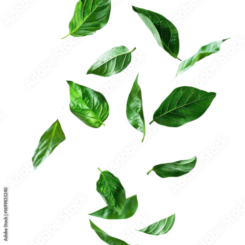 Fresh green leaves floating against a white background capturing nature's essence and vibrant colors