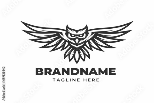 Stylized Owl with Wings Spread Wide, Detailed Feathers on White Background