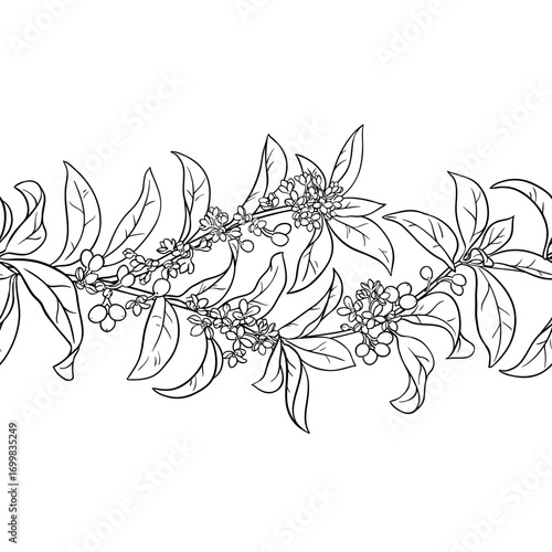 Osmanthus Branch with Flowers, Berries and Leaves Outline Horizontal Seamless Pattern. Vector isolated for design or decoration.
