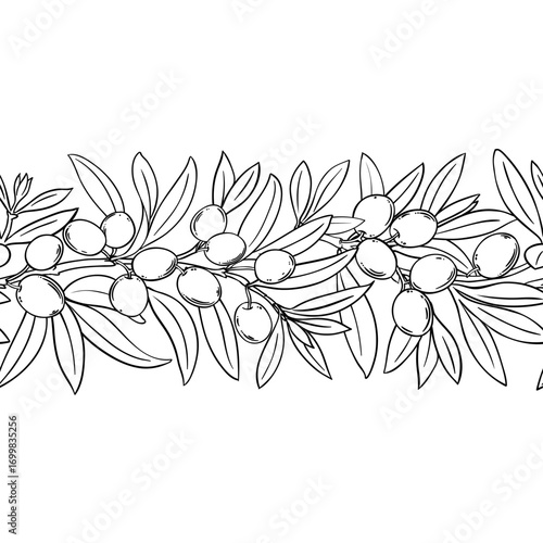 Olive Branch with Flowers, Berries and Leaves Outline Horizontal Seamless Pattern. Organic natural nutritional healthy food ingredient, vegetarian diet product. Vector isolated for design or decoratio