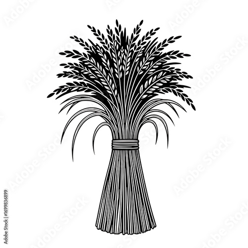 Illustration of a sheaf of wheat isolated on transparent background, a symbol of harvest