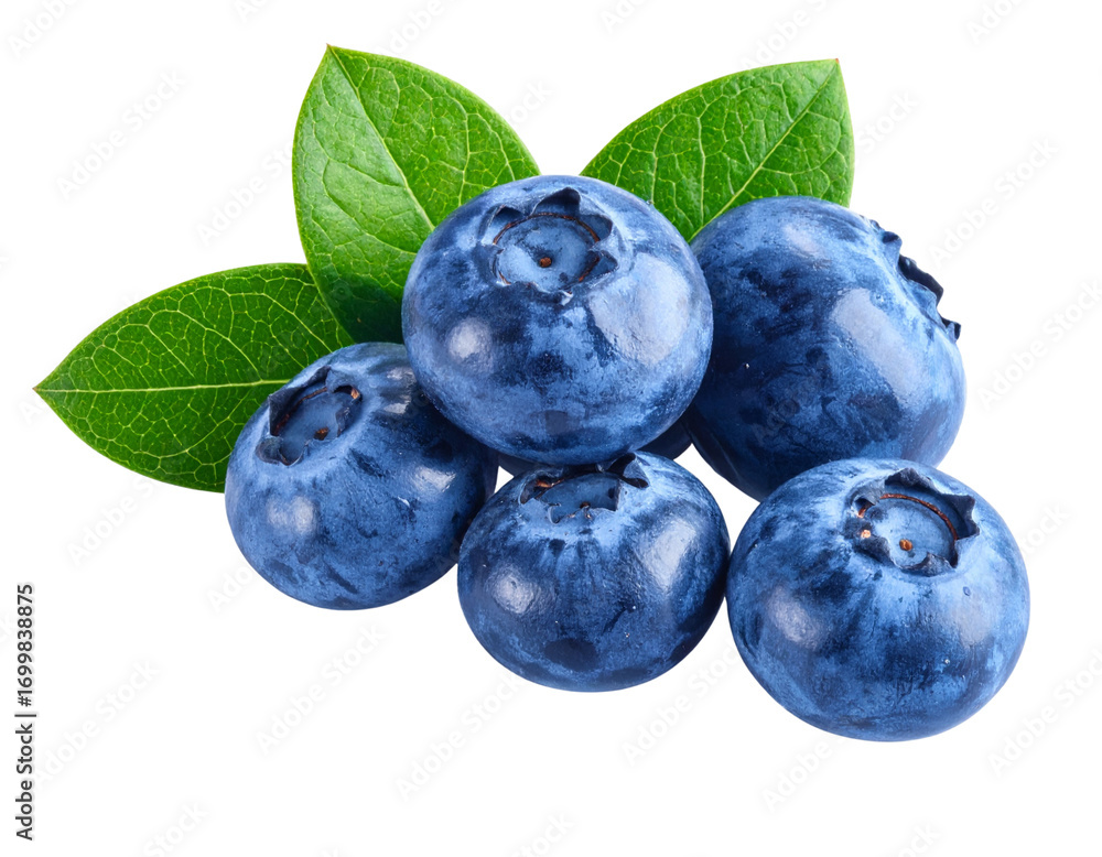Fototapeta premium Cluster of Fresh Blueberries with Green Leaves, isolated on transparent background.