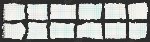 Torn graph grid paper scraps set. Ripped checkered notebook pieces, isolated texture collection