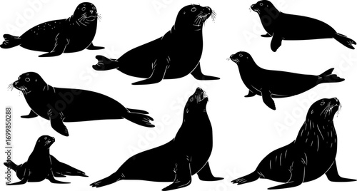 Seal silhouette collection, Seal SVG, Sea lion silhouettes, Seal clipart.