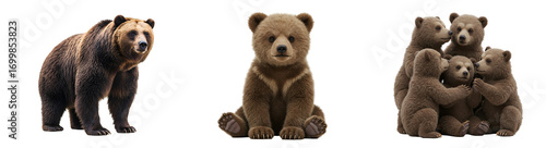 Wallpaper Mural Adorable brown bears in various poses, cuddly bear cubs are great for kids and nature lovers Torontodigital.ca