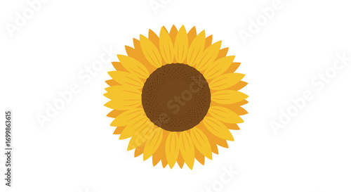 A vibrant sunflower blooming brightly in the summer sunshine a symbol of joy and warmth