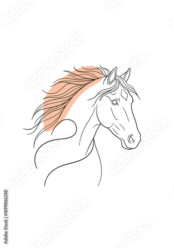 Elegant horse head silhouette with flowing mane and gentle outline detail