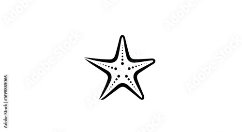 Starfish marine animal sea creature ocean life starfish illustration black and white starfish.