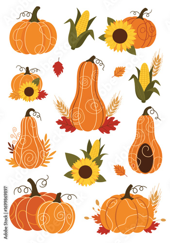 Autumn harvest pumpkins gourds corn and sunflowers decorative elements