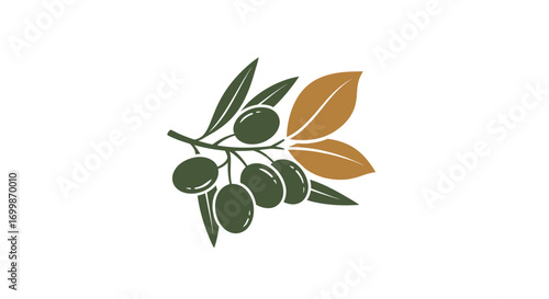 Olive Branch with Green and Brown Leaves.