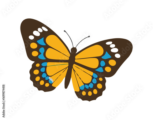 butterfly on white background