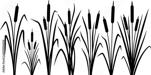 Cattail svg, Cattail silhouette, Cattail plant silhouette, Reeds and cattail silhouette, Cattail plant svg, Cattail vector set.
