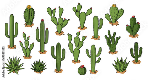 Cartoon style diverse cactus collection with cute kawaii elements and desert theme