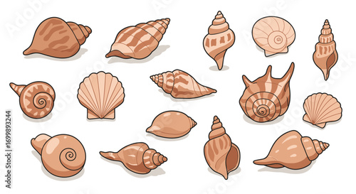 Stylish seashell collection with detailed cartoon style on white background