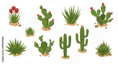 Diverse cactus collection featuring various succulent styles in flat design