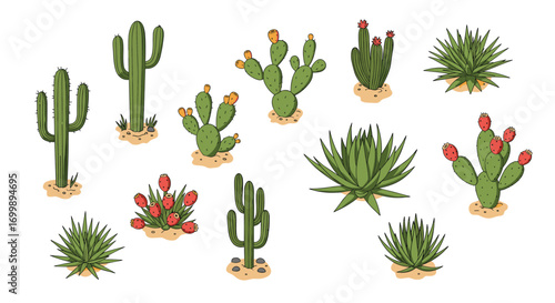 Diverse cactus collection in flat design with various species of succulents on white background