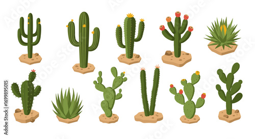 Isometric cactus collection on sand background with blossoms