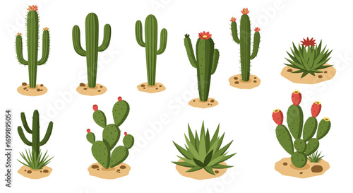Variety of cartoon cacti and succulents on desert sand background
