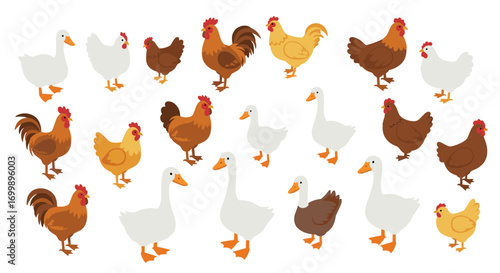 Farmyard gathering of chickens and geese in flat cartoon style