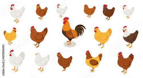 Colorful cartoon chickens and roosters collection for farm and animal designs