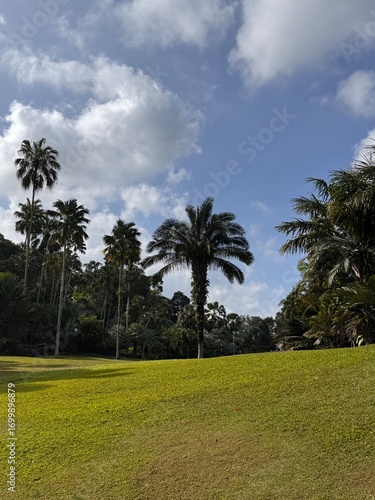 Singapore Nights: Gardens, Skylines, and City Lights
싱가포르의 밤: 정원, 스카이라인, 그리고 도시의 빛