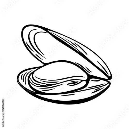 Mussel engraving sketch in Mediterranean food coloring style