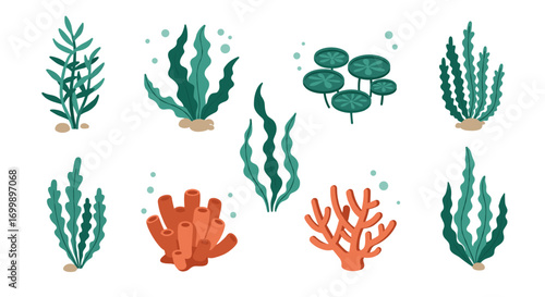 Underwater collection: diverse seaweed and coral on white background