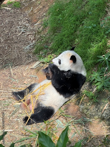 Singapore Nights: Gardens, Skylines, and City Lights
싱가포르의 밤: 정원, 스카이라인, 그리고 도시의 빛