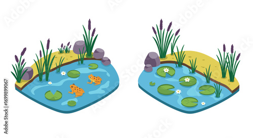 Tranquil pond scene with frogs and water lilies in isometric design