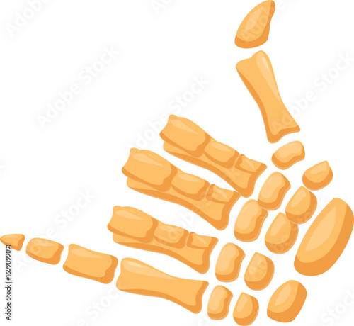 Cartoon skeleton hand gesturing shaka or hang loose sign, isolated on white background