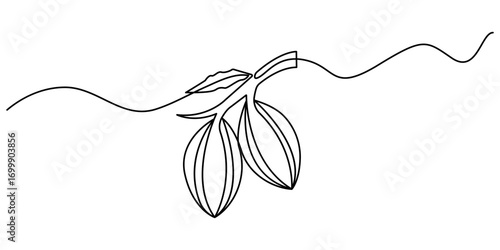 Cocoa beans on a branch, continuous single one line art hand drawing sketch logo, Simple vegetable silhouette. Hand drawn cacao beans branch outline . Fresh cacao concept. Editable stroke