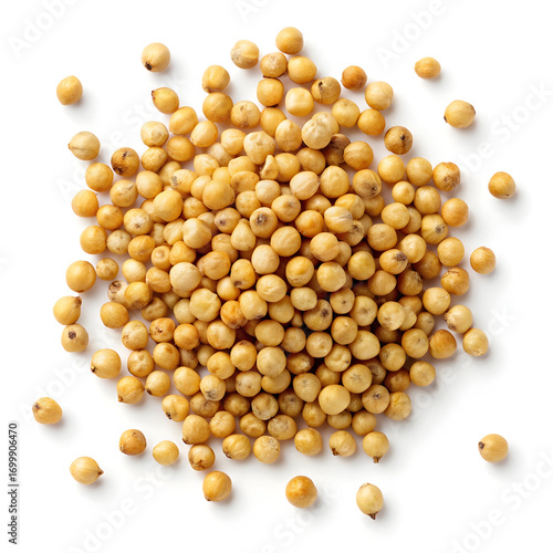 Sorghum grains isolated on white background, showcasing small, round grains valued for their gluten-free,