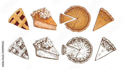Hand drawn vintage sketch of assorted pies and slices with lattice crust, pumpkin filling and whipped cream topping illustration