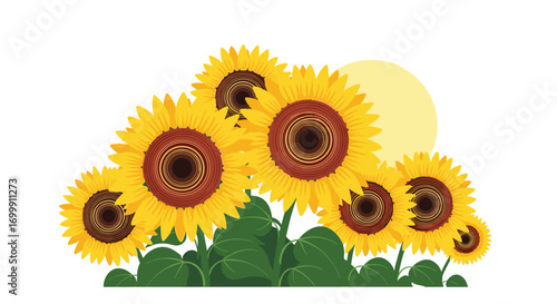 A field of vibrant sunflowers reaching for the warm summer sun