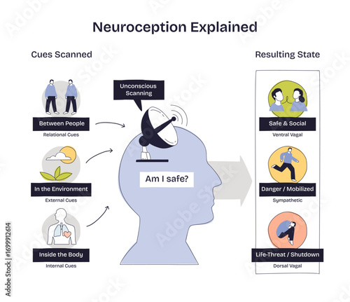 Neuroception explained shows how the brain scans cues between people, environment, and body to assess safety, danger, or shutdown. Doodle style diagram