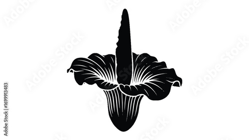 A black and white silhouette illustration of a Corpse Flower (Titan Arum) in full bloom.