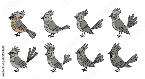 Set of various cute bird illustrations showing different crests and plumage variations