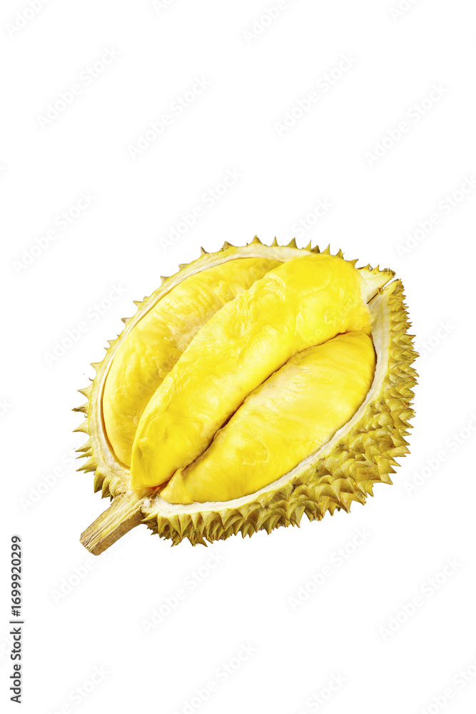 Fototapeta premium Fresh Golden Durian Fruit with Spiky Shell Showing Creamy Yellow Pulp Segments