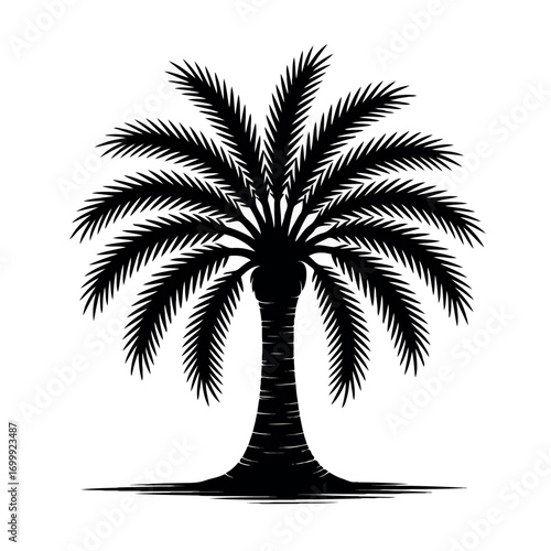 silhouette of palm trees vector design