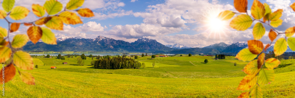 Obraz premium Schönes buntes Herbstlaub vor einer idyllischen Landschaft am Forggensee bei Füssen im Allgäu - FOTOMONTAGE