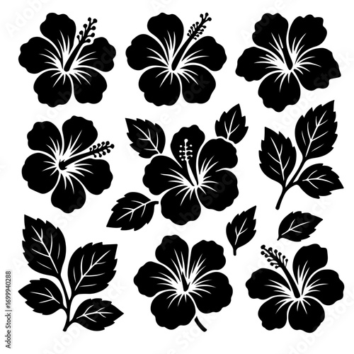 Hibiscus Floral Designs: A collection of stylized hibiscus flower illustrations in striking black and white, with intricate detail and elegant design.