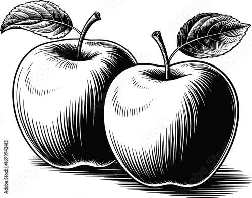 Black and white apple illustration with worm on a white background