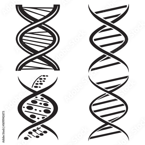 dna strand on white background